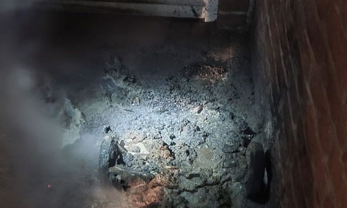 Von der Mülltonne blieb nicht viel übrig.