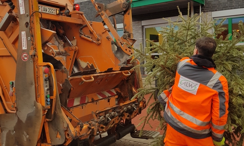 Die Müllwerker des ALW holen ab dem 9. Januar kostenlos die Weihnachtsbäume ab. 