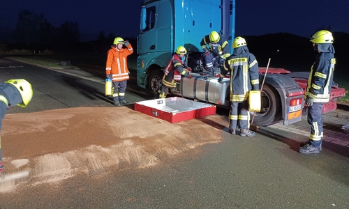 Die Feuerwehr war rund zwei Stunden im Einsatz.