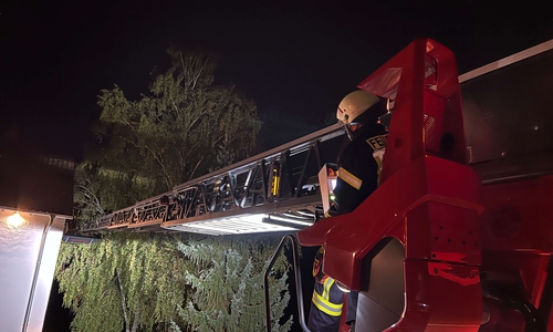 Für die Drehleiter muss der beste Weg ans Gebäude gefunden werden.