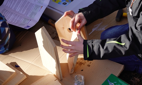 Der NABU Peine alle, die sich für den Naturschutz einsetzen möchten, zu einem gemeinsamen Austausch ins KOMED ein.