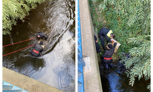Die Polizei zieht den Tresor aus der Oker.