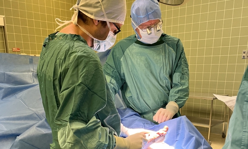 Ärzte der Gefäßchirurgie der Helios St. Marienberg Klinik Helmstedt während einer Operation, bei der Fischhaut zur verbesserten Wundheilung eingesetzt wird. 