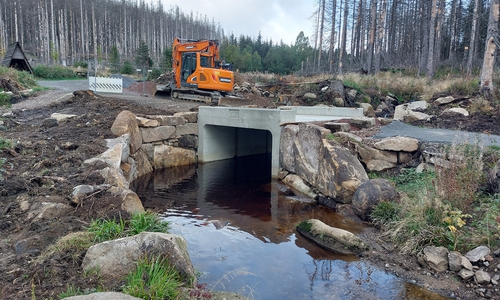 Im Bereich der „Schierker Spinne“ hat die Nationalparkverwaltung zwei inzwischen marode Brücken erneuert, damit auch dieser wichtige Weg durch Einsatzfahrzeuge weiterhin befahrbar ist. Allein für den Wege- und Brückenbau im Zusammenhang mit Einsatzwegen hat die Nationalparkverwaltung in diesem Haushaltsjahr rund 427.000 Euro aufgewendet.