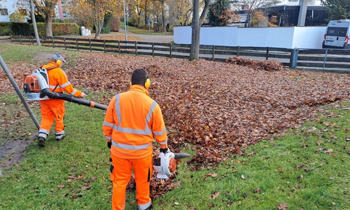 Diese Laubhaufen werden absichtlich liegengelassen.