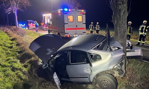 Das Auto schlug mit dem Heck gegen den Baum.