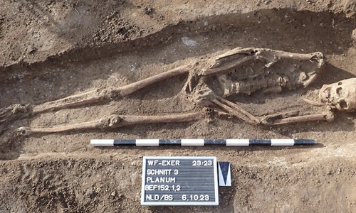 Zahlreiche Skelette konnten freigelegt werden. Es muss sich um Siedler aus dem 8. oder 9. Jahrhundert handeln. Der Zustand der Funde ist recht unterschiedlich. Einige Skelette sind vom Grabraub der damaligen Zeit gekennzeichnet, andere weisen Zerstörung durch die Landwirtschaft auf. Darüber hinaus gibt es gut erhaltene. Von allen wurden eine DNA-Probe zur weiteren Forschung genommen.