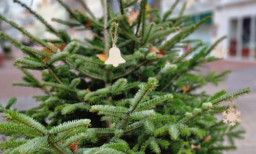 Grüne Tanne für den guten Zweck: Die Tannenbäume der Weihnachtsstadt Peine werden gegen eine freiwillige Spende für den Kinderschutzbund abgegeben.
