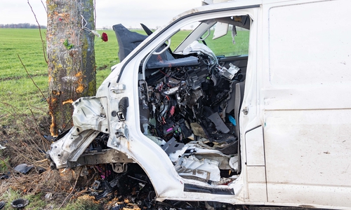 Der Transporter war mit brachial Gewalt gegen den Baum geprallt. Die Feuerwehr musste den eingeklemmten Fahrer aus der Kabine schneiden - für ihn kam allerdings jede Hilfe zu spät.