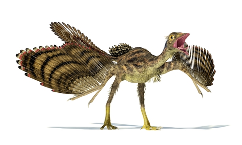 Fotorealistische Rekonstruktion des Urvogels Archaeopteryx.