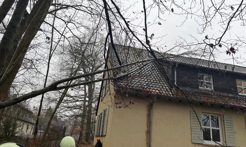 Ein Baum war auf ein Haus gestürzt. 