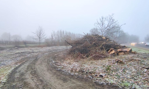 An der Friedrich-Ebert-Straße werden Vorbereitungen für die Baumaßnahme getroffen.