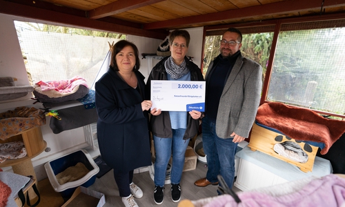 Arnd Vinzenz Schneider von der Bezirksdirektion Helmstedt-Wolfsburg der Öffentlichen übergibt den Spendenscheck an Simone Uhde (Mitte), die 1. Vorsitzende der Katzenfreunde Königslutter, und Angelika Pape (Gewinnerin des Weihnachtsgewinnspiels der Öffentlichen) im Katzenhaus Scheppau.