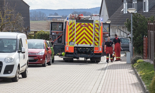 Einsatz in der Reitwiese.