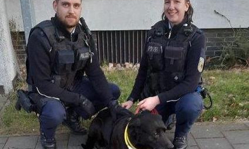 Die eingesetzten Bundespolizisten mit dem reisefreudigen Hund.