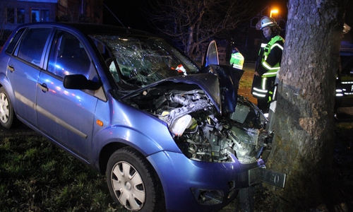 Der Autofahrer war frontal gegen den Baum geprallt.