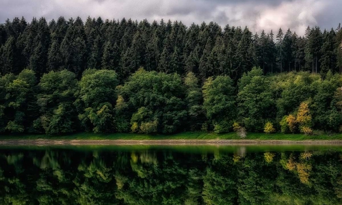 Der Harz gehört zu den Tourismus-Destinationen in unserer Region (Symbolfoto).