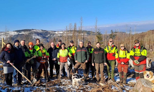 Ulrich Stranzenbach, Geschäftsführer Höganäs GmbH, (7. von links) besuchte mit seinem Team die Mannschaft der Landesforsten um Forstamtsleiter Ralf Krüger (6. von rechts)  Personalreferentin Monika Mazurczak (links) pflanzte mit einer Harzer Pflanzhacke heimische Eichen, wie sie Produktionsleiter Tobias Beckmann gebündelt in den Händen hielt. Als Standortleiter war Tobias Roesch (3. von links) für das im Metallurgie Park Oker ansässige Unternehmen vertreten.