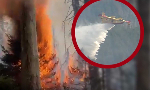 Hier ein italienisches Löschflugzeug im  Einsatz beim Brocken-Brand 2022. (Archiv)