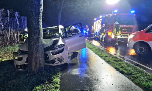 Die Feuerwehr konnte den Fahrer aus seinem Fahrzeug befreien.