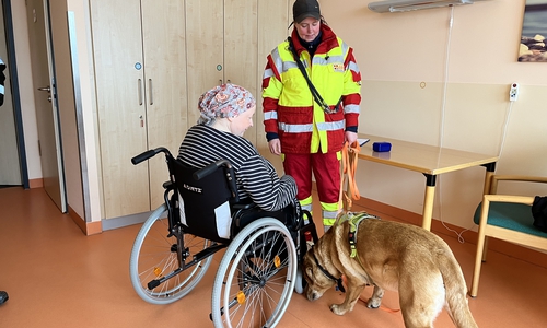 Einer der Suchhunde nimmt eine kleine Schnupperprobe.