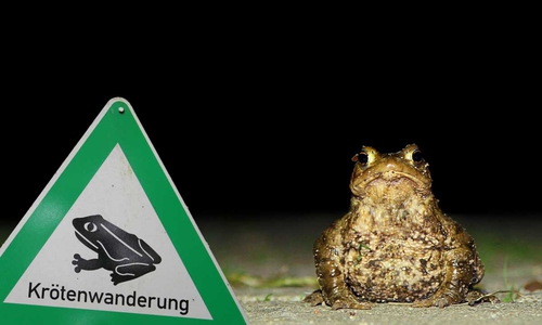 Symbolfoto.