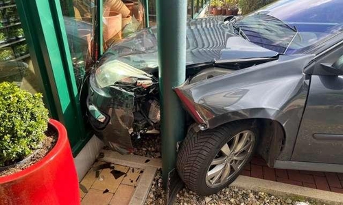 Der Renault landete in der Scheibe einer Gärtnerei.