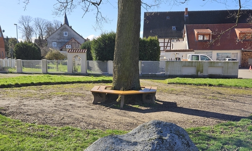 Die Stieleiche mit Sitzbankrondell Am Thieberg in Vallstedt.