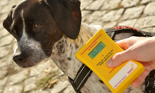 Die Tierschutzorganisation TASSO räumt mit Missverständnissen auf.