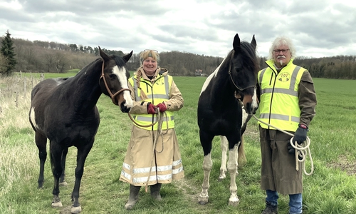 Petra Brandes und Manfred Kramer mit den Pferden Cuba und Glow.