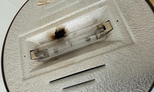 Ein verkohltes Insekt in einer Lampe hatte den Einsatz ausgelöst.