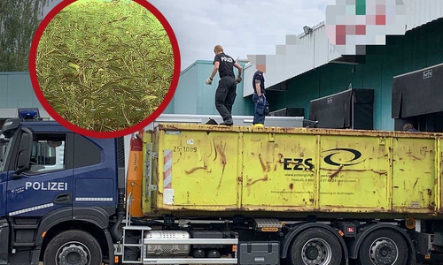 Die Polizei hatte alle Hände voll zu tun beim Ausheben der Plantage.