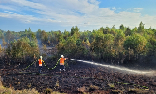 Einsatzkräfte der Feuerwehr beim Moorbrand  2022 bei Neudorf-Platendorf. 