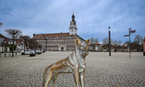 Auch der Schlossplatz wurde oft als Standort für den Wolf vorgeschlagen. Doch es wird ein anderer.