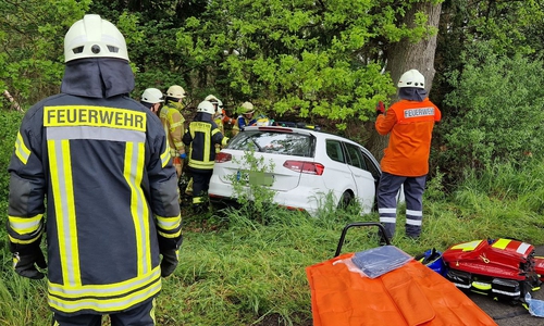 Der Fahrer war mit seinem VW Passat von der Straße abgekommen.