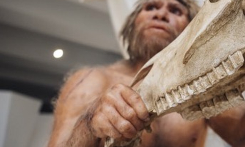 10 Jahre Forschungsmuseum soll gefeiert werden.