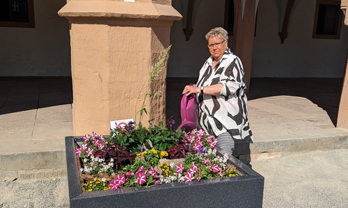 Inge Rühle während ihrer morgendlichen Gießrunde über den Goslar Marktplatz – bereits seit mehr als 15 Jahren ein sommerliches Ritual.