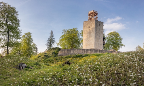 Der  „Tag des offenen Denkmals“ findet am 9. und 10. September statt.