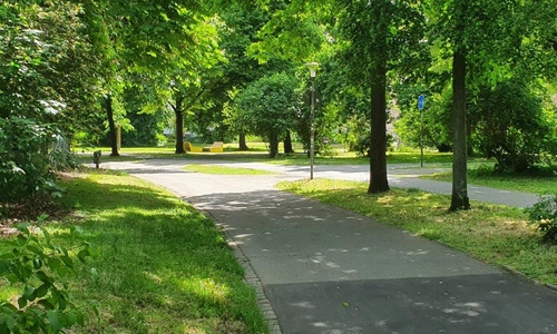So sieht es aktuell im Kleistpark aus.