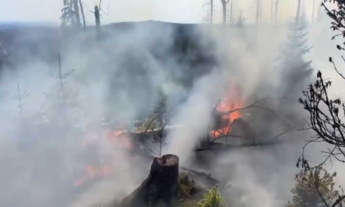 Ein Video der Feuerwehr Schierke zeigt die lodernden Flammen.