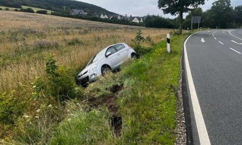 Das Auto des 40-Jährigen landete im Graben.