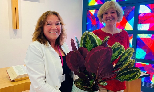 Adelheid May, Regionalgeschäftsführerin der Asklepios Kliniken in der Region Harz, dankte der Klinik-Seelsorgerin für ihren jahrelangen Einsatz für Patienten, Angehörige und Mitarbeiter.