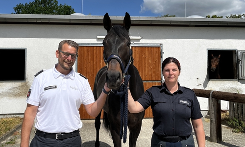 Dirk Oppermann, Pferd "Odin" und Nadine Seitlinger.