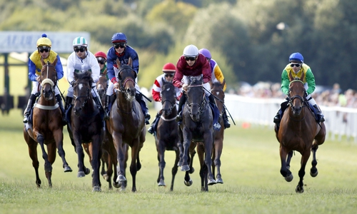 Im Juli galoppieren die Pferde wieder in Bad Harzburg.
