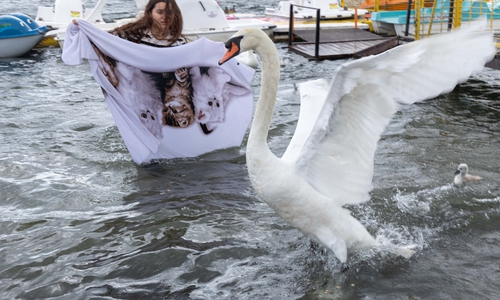 Ein Schwan am Salzgittersee brauche heute dringend Hilfe. 