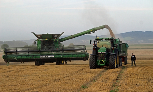 Anhänger werden vom Mähdrescher mit Weizen beladen. Im Hintergrund ist der Elm zu sehen.