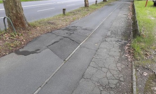 Nach Ansicht der AfD ist der schlechte Zustand des Weges nicht nur für Radfahrer, sondern auch für Fußgänger ein Problem.