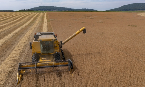 Am „Tag der offenen Höfe“ haben Interessierte die Möglichkeit sich einen Eindruck von fünf Bio-Betrieben im Landkreis Goslar zu machen. Die Betriebe liefern unter anderem die Rohstoffe für die Produkte der Bio-Bäckerei Harzbrot eG. 