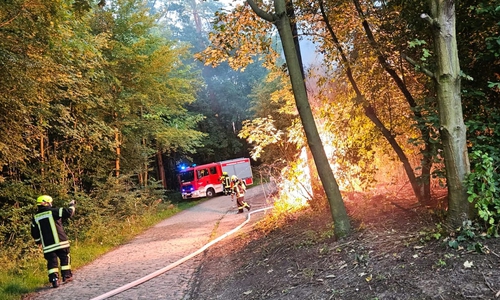 Die Flammen drohten überzugreifen.