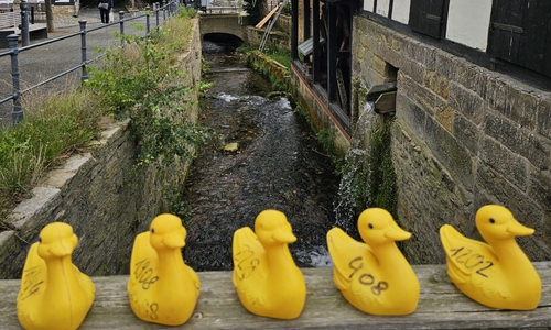 Die Enten gehen wieder ins Rennen.